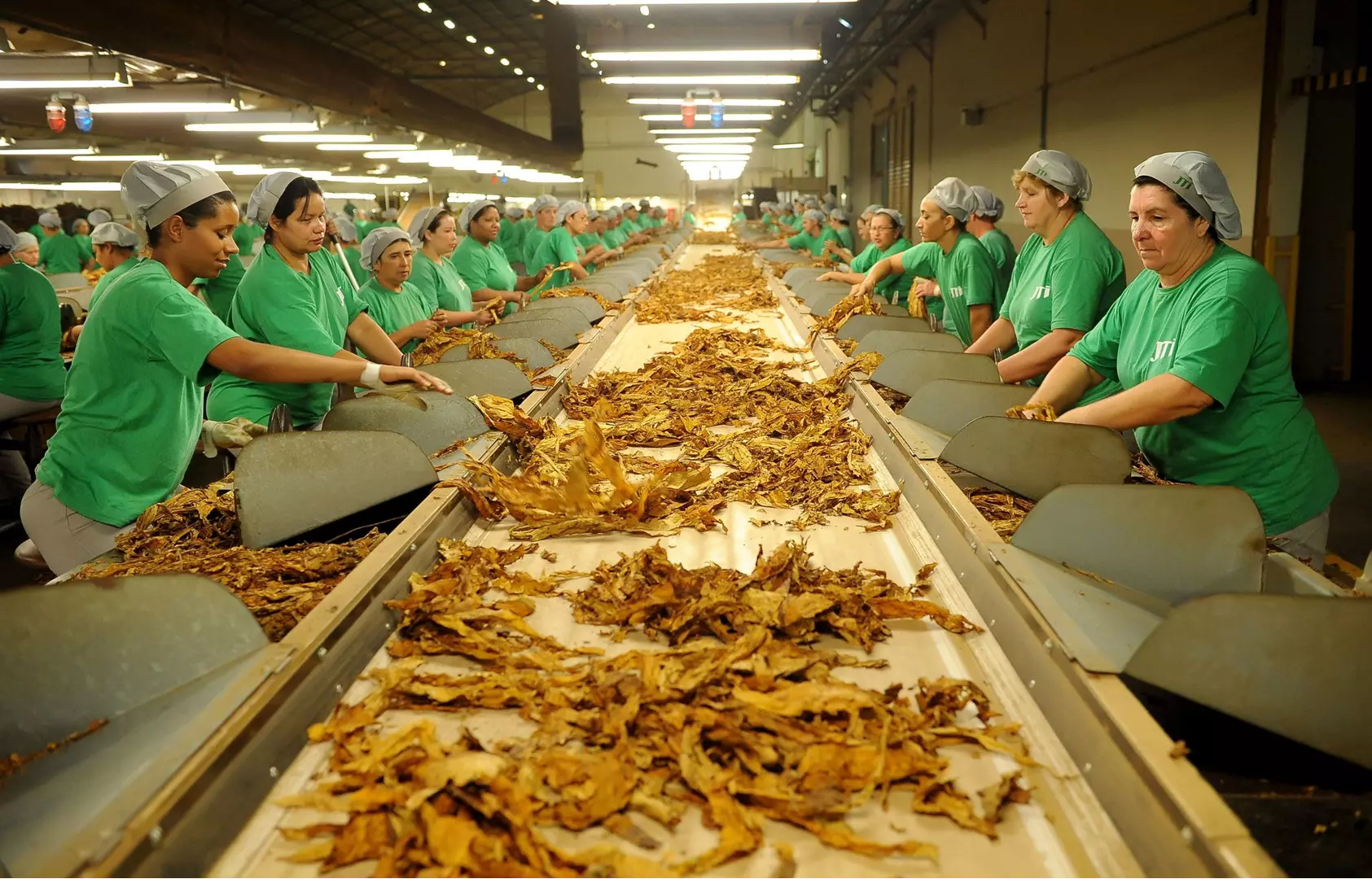 JTI investe em Mafra (SC) para filial de compra de tabaco